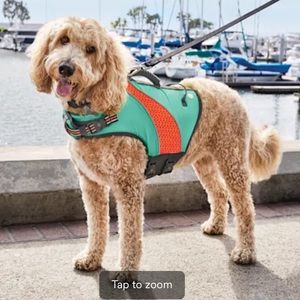 Good2Go Dog Deluxe Floatation Vest, X-Small